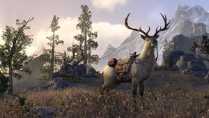 Благородный олень.jpg