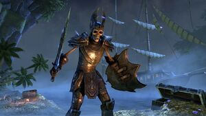 Набор оружия скелета-пирата.jpg