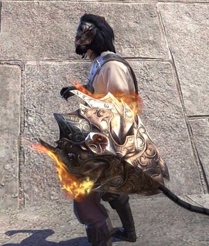 Щит Заан-скриншот.jpg