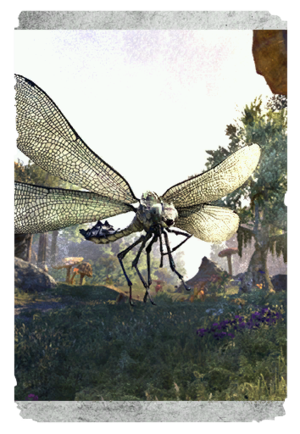 Королевская стрекоза-карта.png