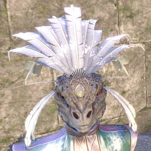 ON-hairstyle-Feathered Headdress.jpg