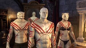 Нательная раскраска «Избранник Хирсина».jpg