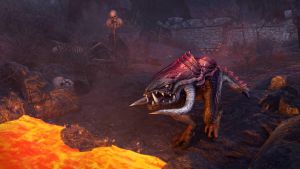 Детеныш сумеречного кагути.jpg