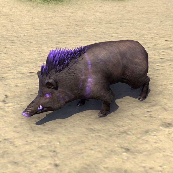 Файл:ON-pet-Purple Daggerback.jpg