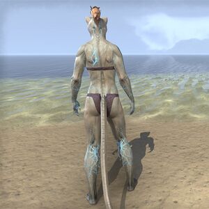 ON-skin-Mind-Shriven (Khajiit) 03.jpg