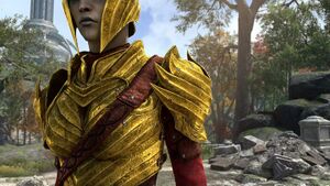 Наплечники стража Балфиеры.jpg