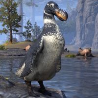 Пухлая гагара-превью.jpg