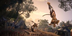 Эскапады в воздухе.jpg