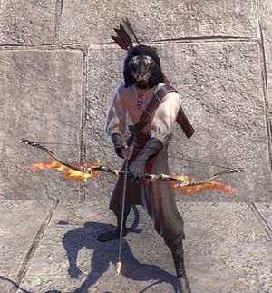 Лук Заан-скриншот.jpg