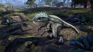 Гуаренок с серебристым брюшком.jpg