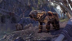 Медведь затаенной ярости.jpg