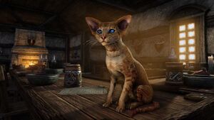 Большеухий рыжий мышелов.jpg