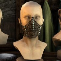 Вуаль исполнительницы танца живота-превью.jpg