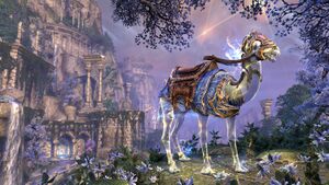 Эталонный верблюд Псиджиков.jpg