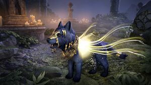 Волчонок славы Мары.jpg