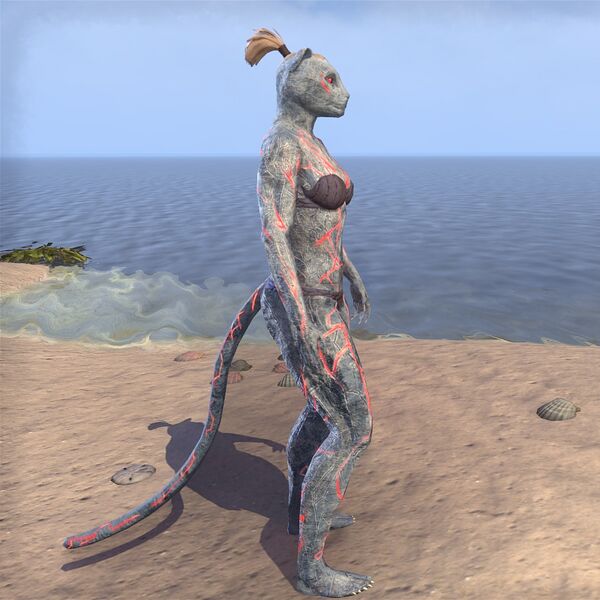 Файл:ON-skin-Sanguine's Disciple (Khajiit) 02.jpg