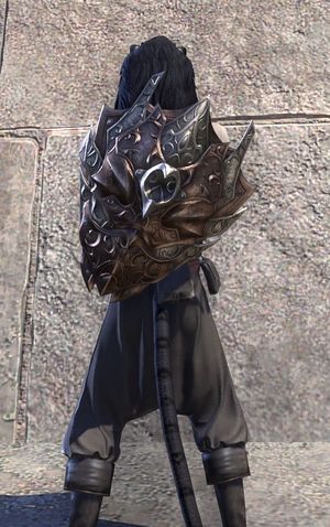 Щит Заан-скриншот1.jpg