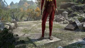 Поножи стража Балфиеры.jpg