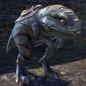 ON-mount-Golden Eye Guar.jpg